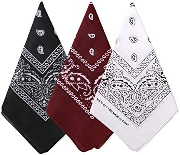 Bycc Bynn 3 Pack 100% Cotton Paisley Pattern Bandanas Face Mask Square Scarf Headwear