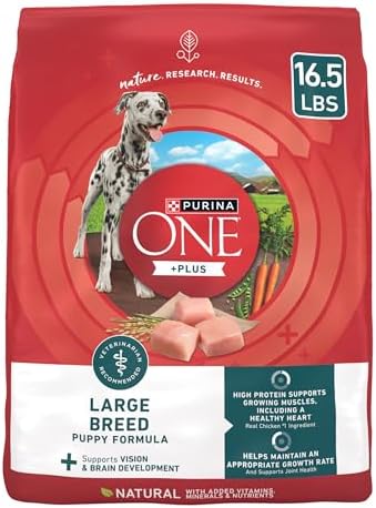 Purina ONE Plus Large Breed Puppy Food Dry Formula - 16.5 lb. Bag