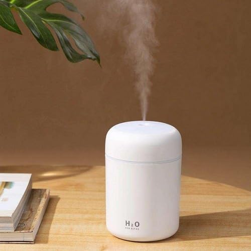 Portable Mini Humidifier, Colorful, Cool Mist, USB Powered. Perfect for Bedroom, Office &amp; Car (300ml, White)